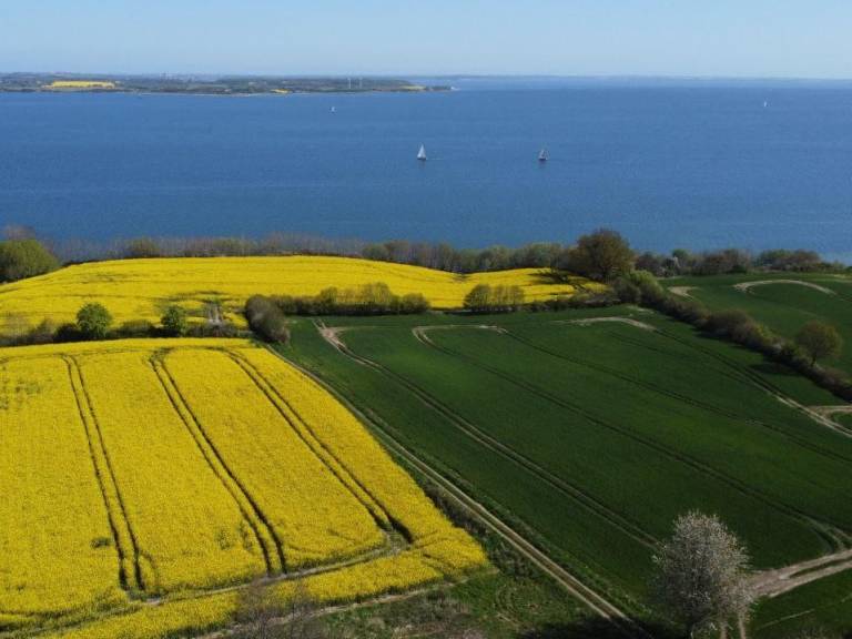 foto3