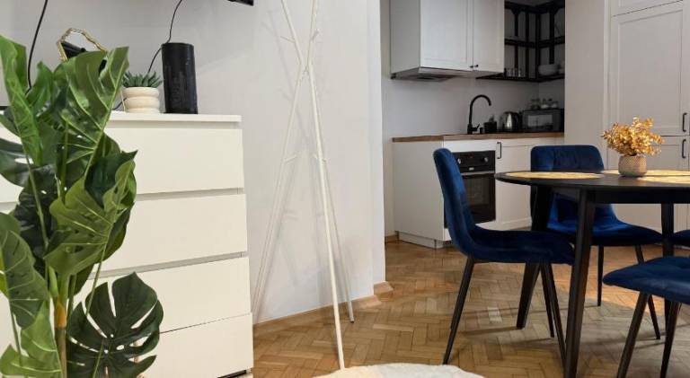 Rental apartment with terrace — photo 5