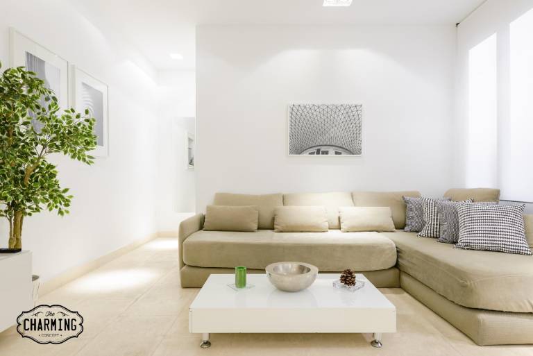 Holiday apartment | Near Plaza Mayor | Good for workation | Dogs allowed in Madrid