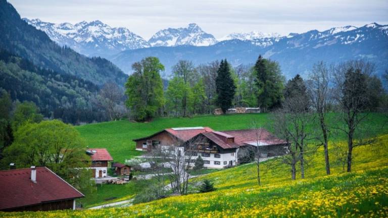 Ferienwohnung Kranzegg