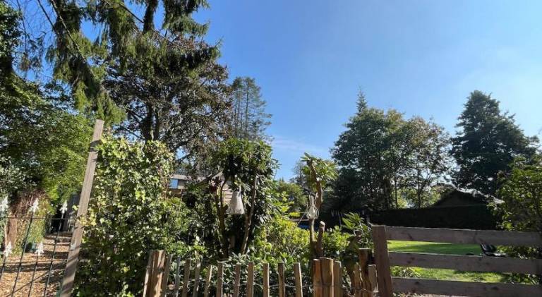 foto49