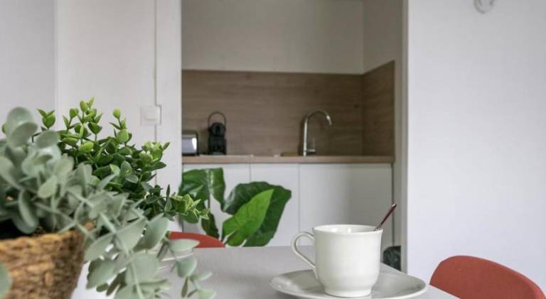 Beautiful holiday apartment | Near Lille Cathedral | Dogs allowed — photo 3