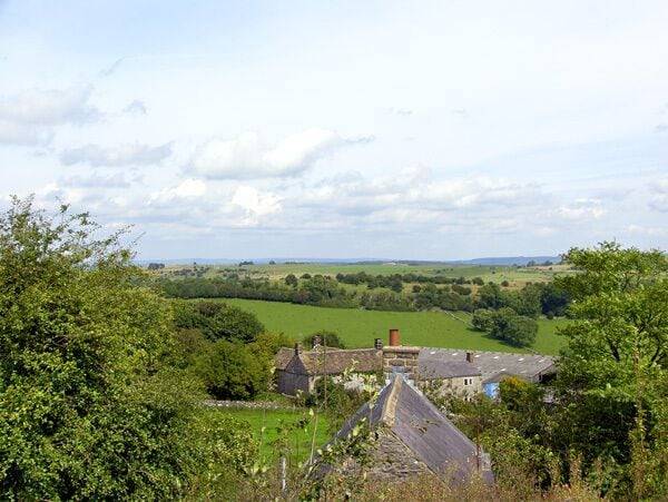 Cottage Winster