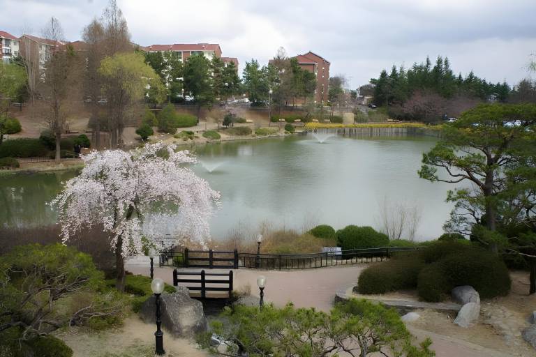 foto7