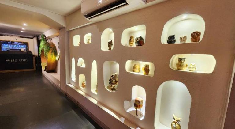Wise Owl Comfotel