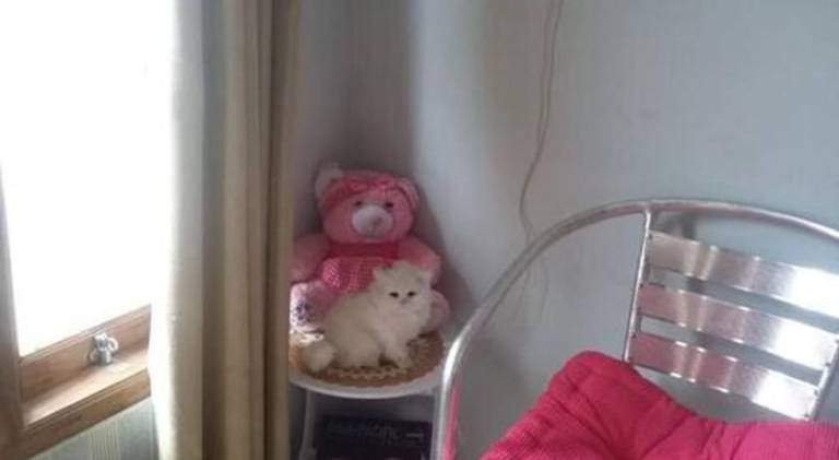 foto12