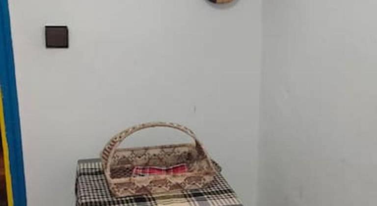 foto11