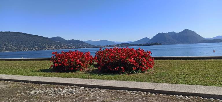 foto44