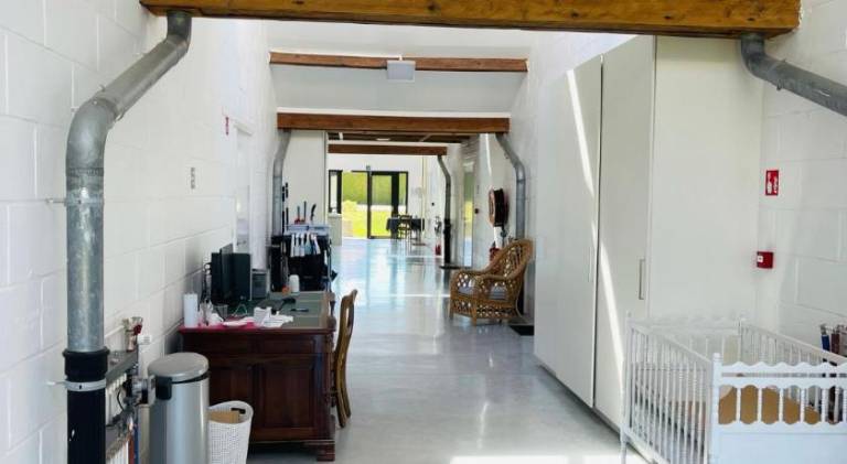 Serviced apartment with yard & terrace — photo 5