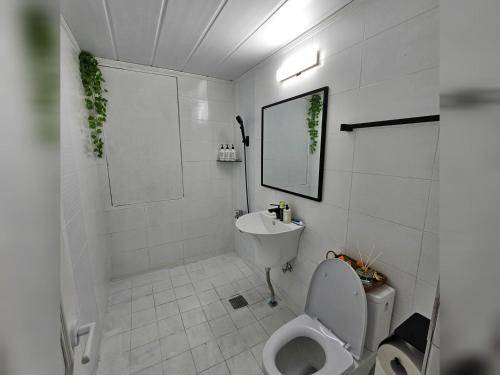 foto6