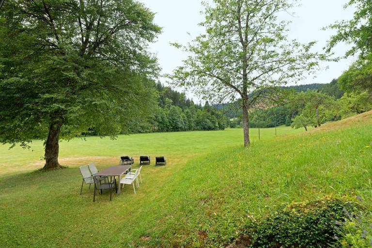 Apartment 'Untermetzgers' with Mountain View, Private Terrace and Wi-Fi — photo 2