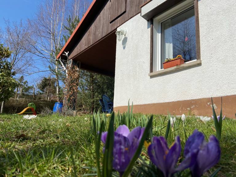 foto27