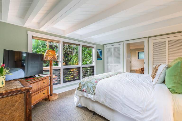 House Hanalei