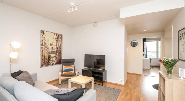 Apartment with sauna — photo 2