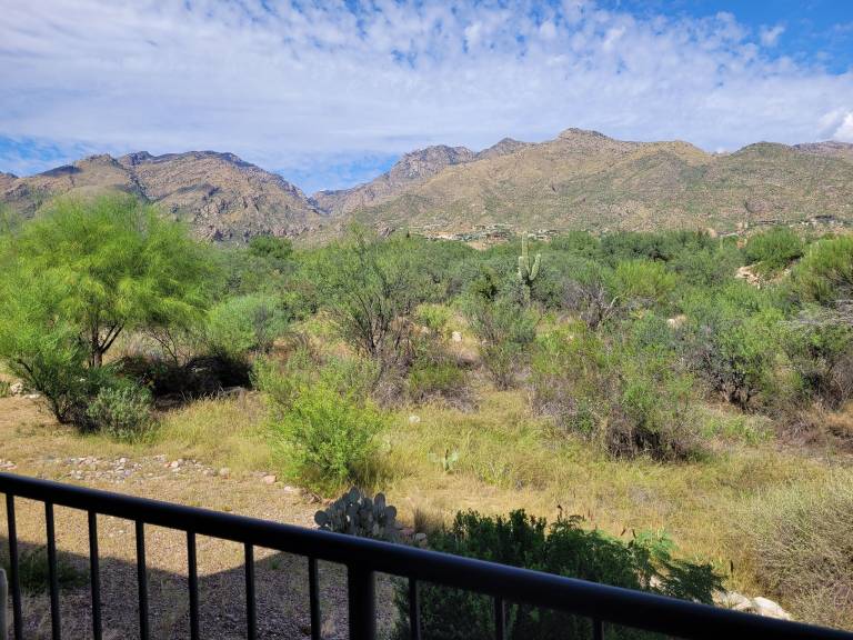 Condo Catalina Foothills