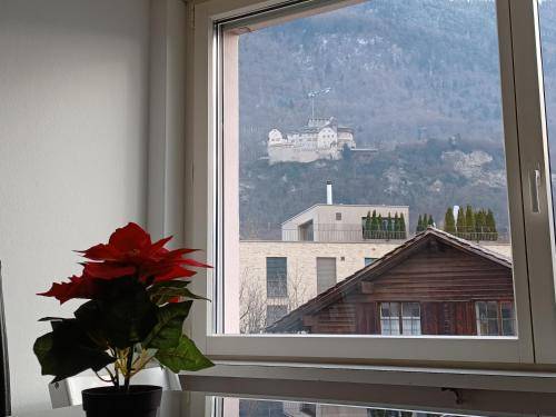 Apartman Liechtenstein