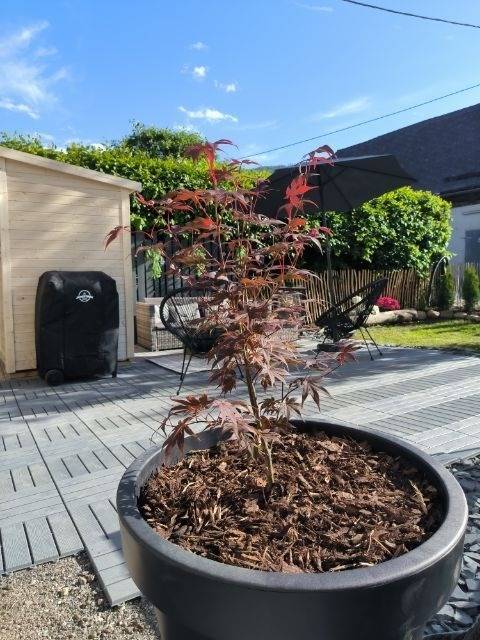 foto7