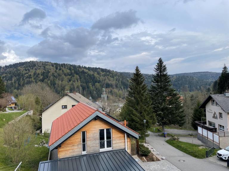 Ferienwohnung Todtmoos