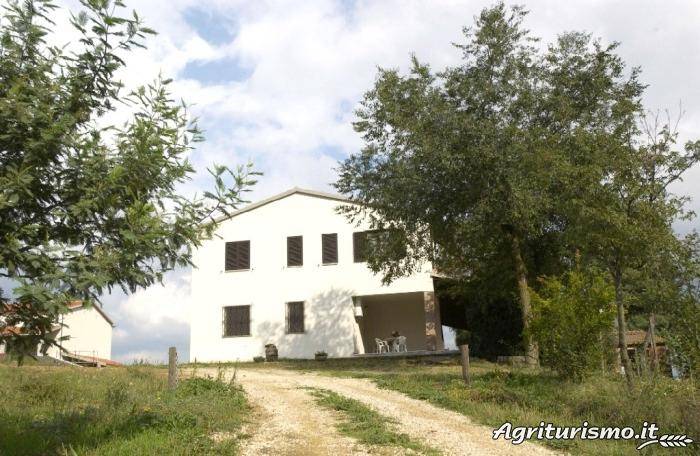 Agriturismo Capitini: Camera 6 in Magliano in Toscana