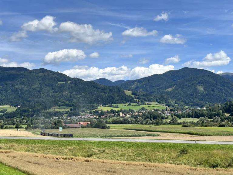 foto11