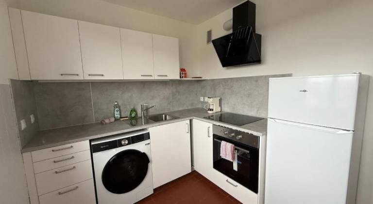 Wonderful apartment | Dogs allowed — photo 3