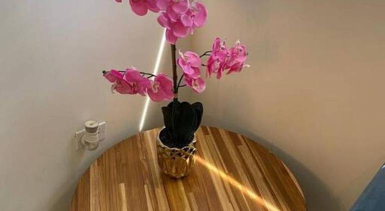 foto21