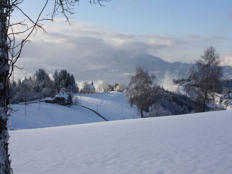foto41