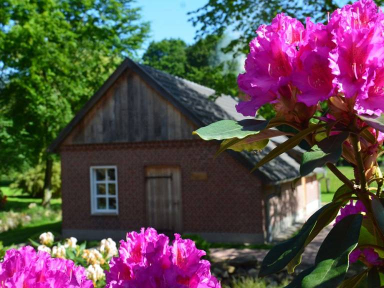 foto16