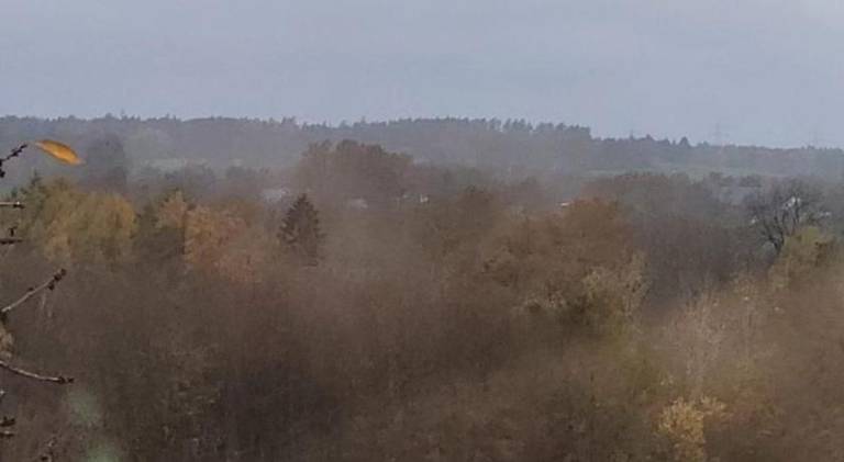 foto12