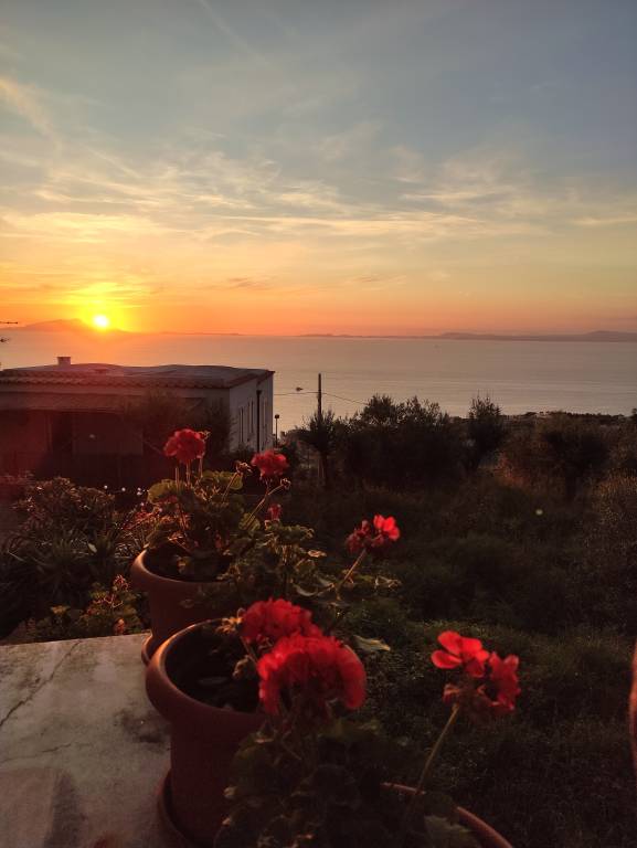 foto40