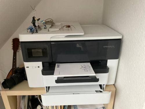 foto7