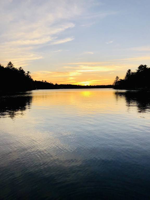 Cabin Honey Harbour