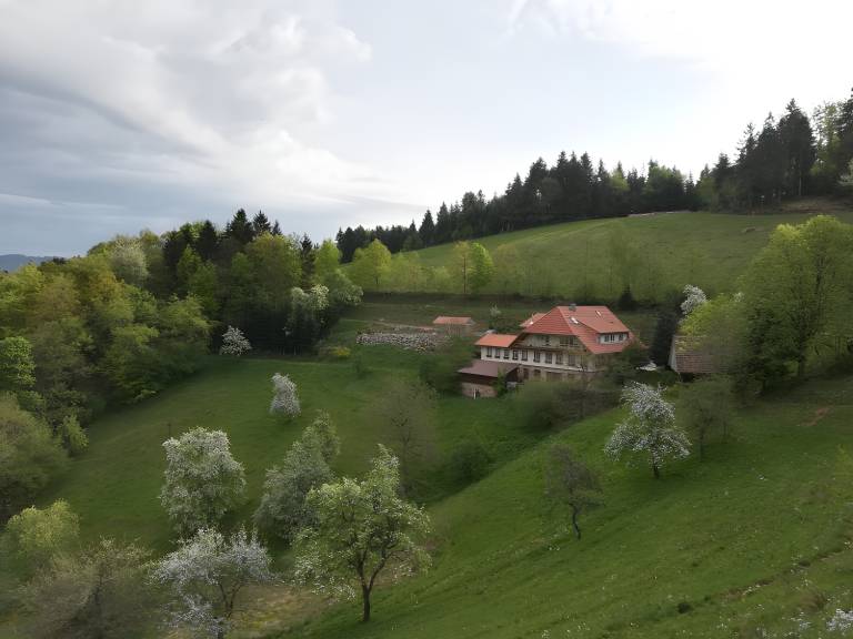 foto28