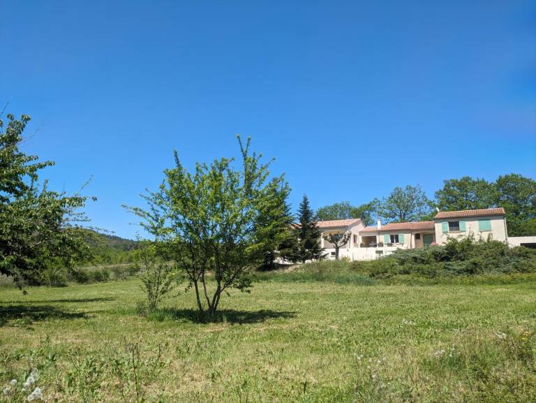 foto15