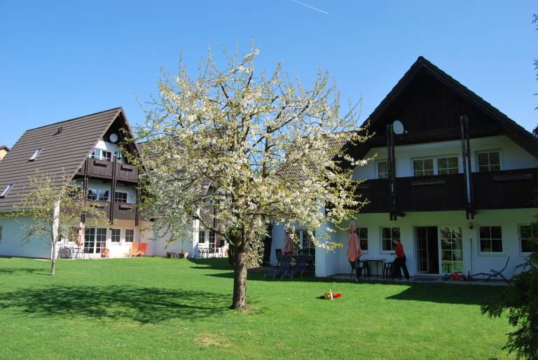 Apartment  Walkenried