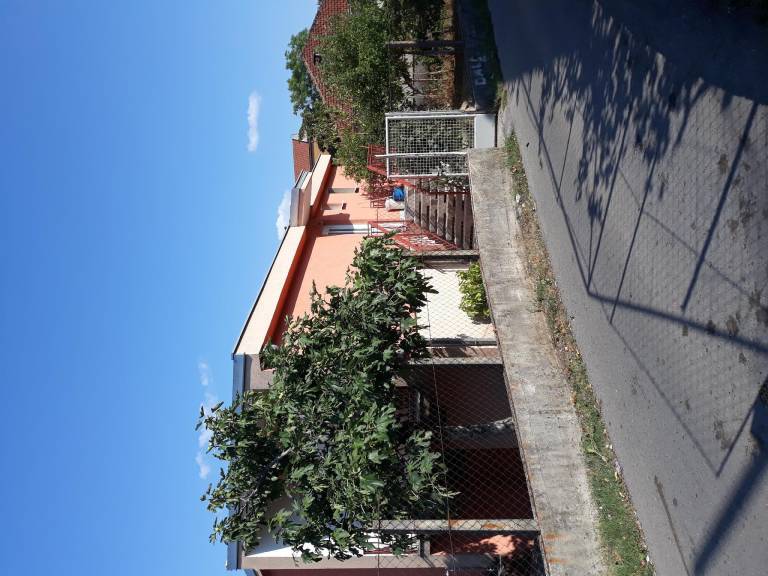 foto21