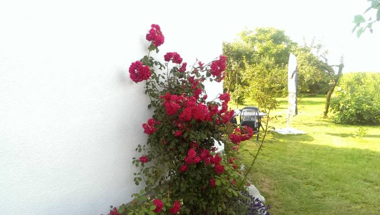 foto19