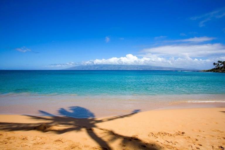 House Kapalua