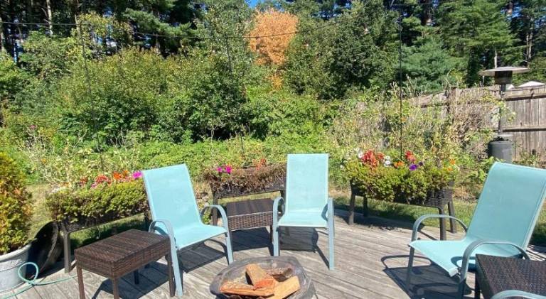 Wonderful holiday apartment | Dogs allowed — photo 4