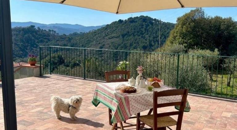 Charming vacation home | Pet-friendly — photo 4