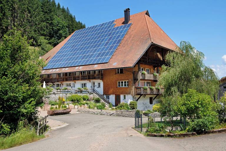Ferienwohnung Gutach (Schwarzwaldbahn)