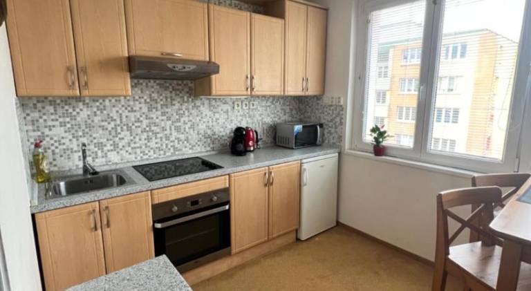 Nice holiday apartment | Pets are welcome — photo 3