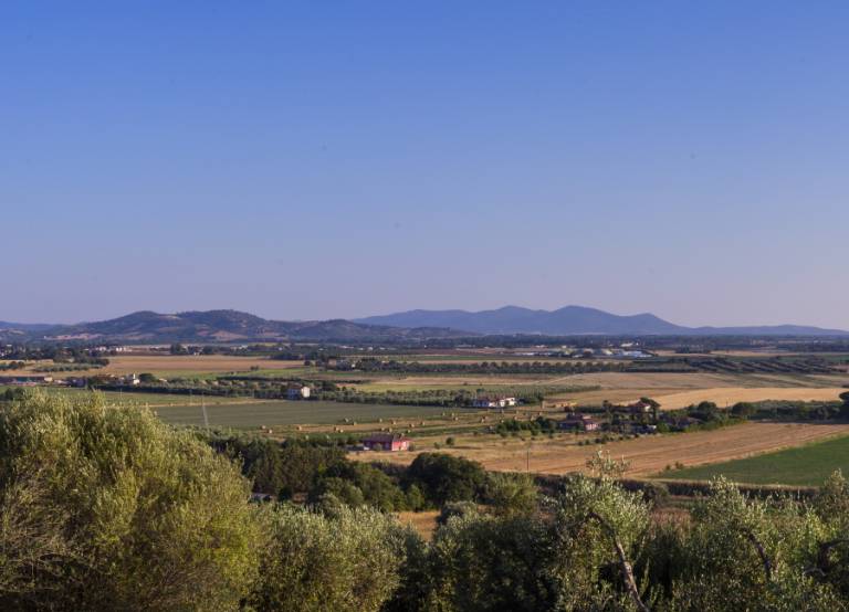 Giardino sulla Maremma: Camera Elba — photo 5