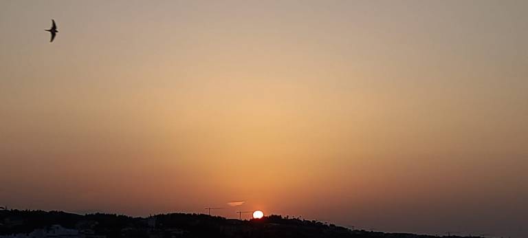 Apartment Mijas