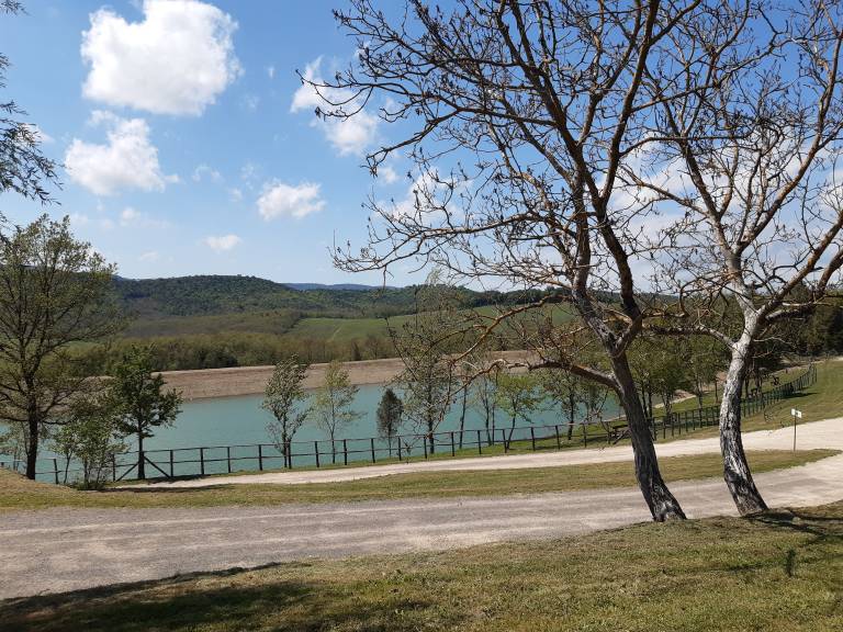foto17
