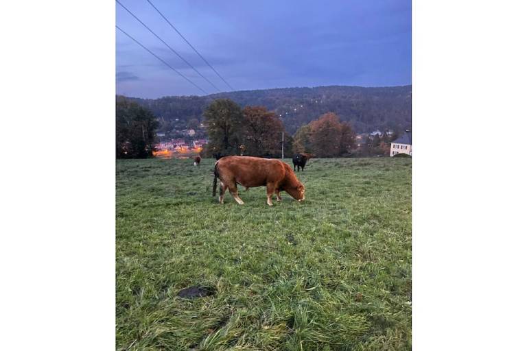 foto28