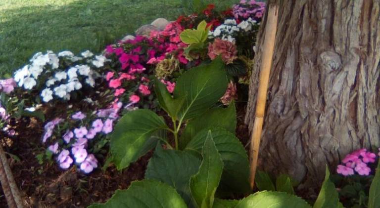 foto34