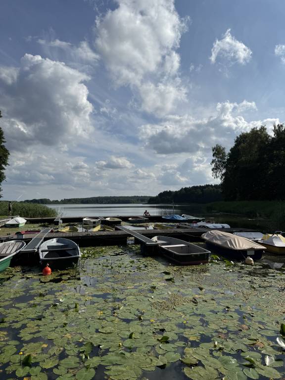 Ferienhaus in Lohmen, Deutschland f&uuml;r max. 5 Personen