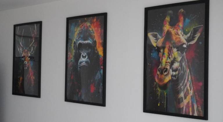 foto14
