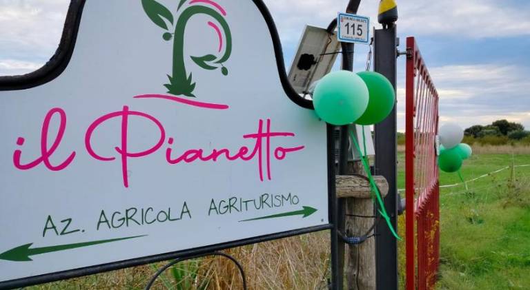 Farm with garden in Grosseto